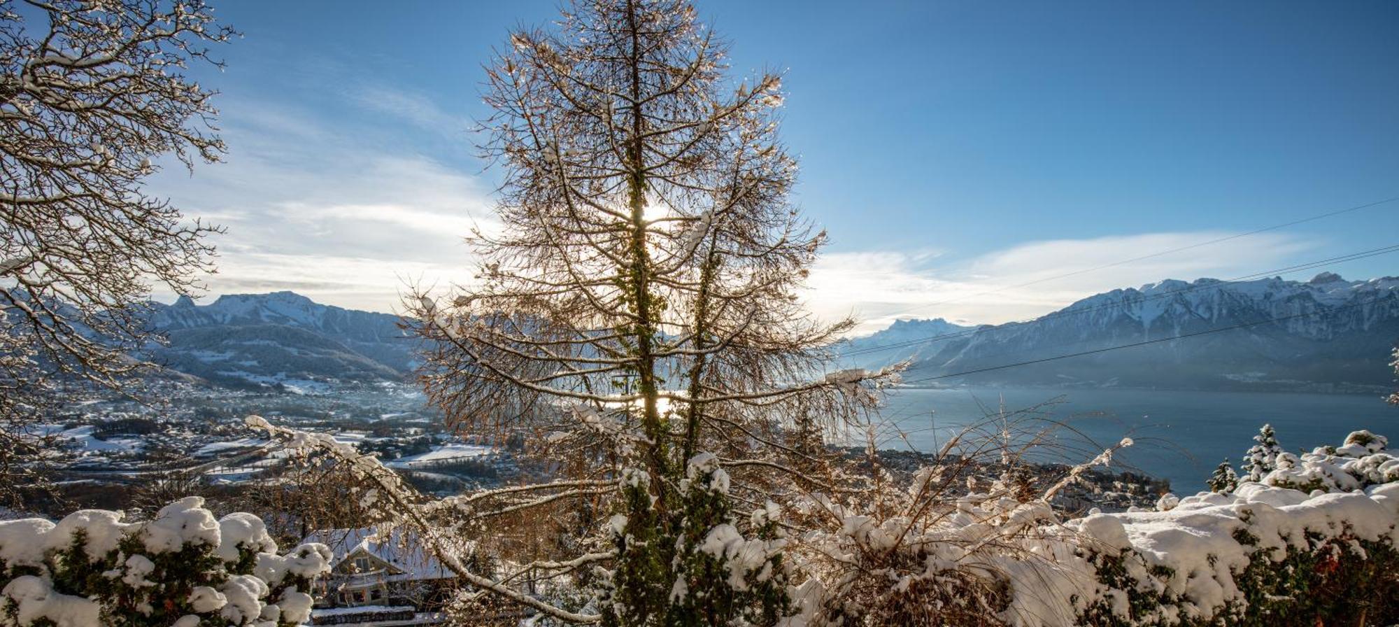Le Toit De Chardonne - Entre Alpes Et Lac Leman Экстерьер фото